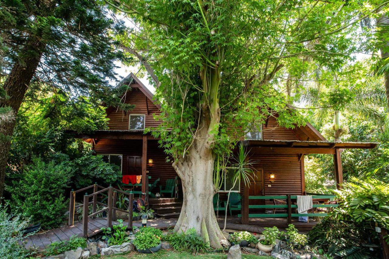 Invito Villa Rosh Pinna Exterior photo